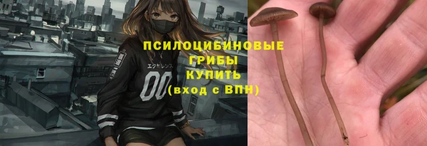 PSILOCYBIN Балахна